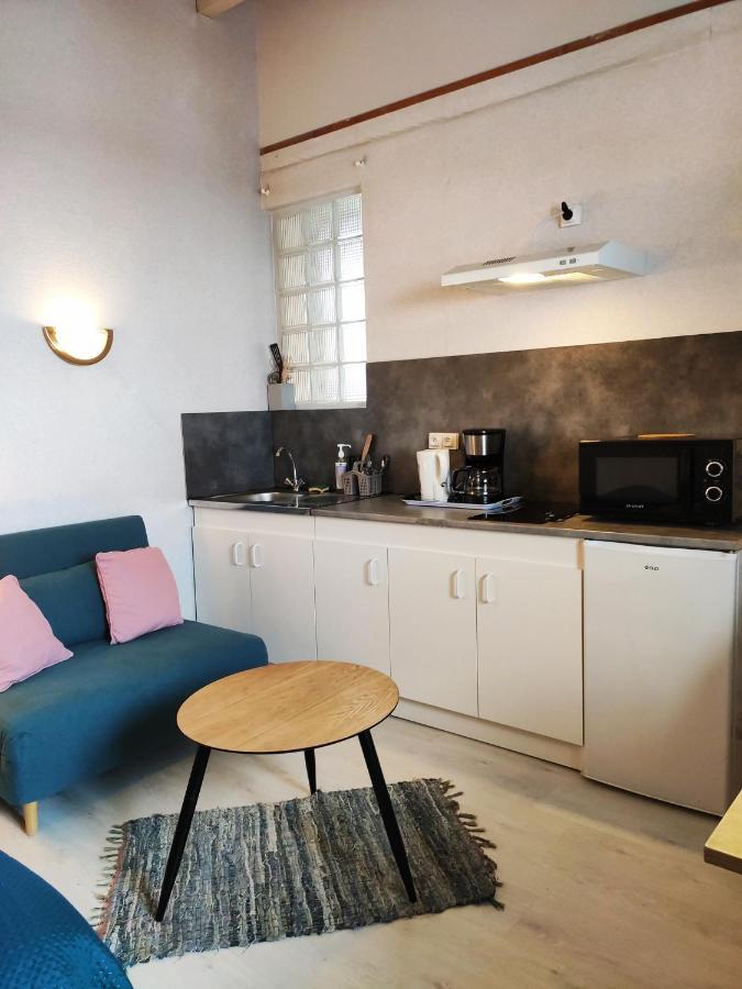 Studio Avec Terrasse Vue Tourmalet Dans Villa Historique "Victoria" Argelès-Gazost Zewnętrze zdjęcie